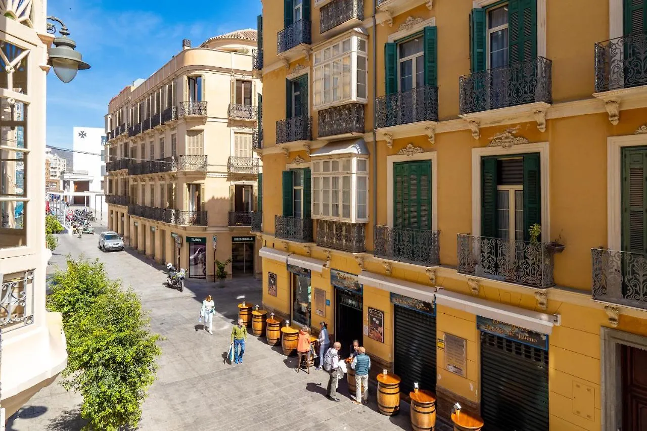 Elegante 3 Dormitorios En Centro Historico Malaga Apartment